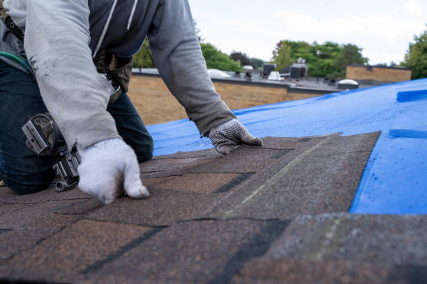 Best Roof Repair Specialists  in Benton Harbor, MI